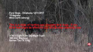 Oklahoma Feral Hogs December 31 2017 [upl. by Enatan]