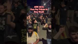 AEW All In Fans Pay Tribute to Bray Wyatt aew aewallin [upl. by Naillimxam]