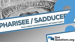 What are the differences between the Sadducees and Pharisees [upl. by Ardied459]