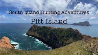 Pitt Island Chatham Island hunting and fishing trip 2021 [upl. by Lohman590]