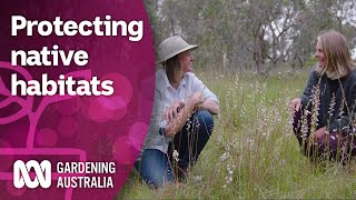 Exploring the conservation efforts reconnecting vulnerable species  Discovery  Gardening Australia [upl. by Zoa]