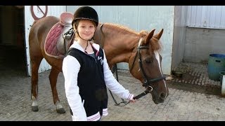 Manege Hippotel  Van Horne Hoeve  Paarden amp Country  Weert 2013 [upl. by Emilee446]