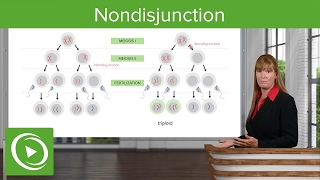 Nondisjunction Chromosomal Disorders amp Aneuploidies – Medical Genetics  Lecturio [upl. by Yecniuq]