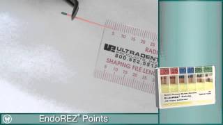 Root Canal Obturation using EndoEze EndoREZ from Ultradent [upl. by Dorman]