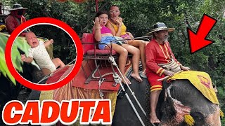 VLOG UNA GIORNATA SUGLI ELEFANTI DELLA THAILANDIA divertimento [upl. by Artemisa]