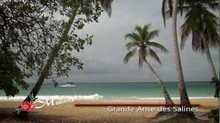 Martinique  Sainte Anne la plage des Salines [upl. by Enoved]