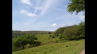 A Great Triscombe Aisholt amp Crowcombe Hike Part IV Magnificent Views [upl. by Asik695]