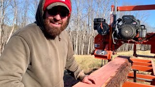 Not Exactly What We Expected  Wood Mizer Lt15  Sawmilling on the Homestead [upl. by Zil]