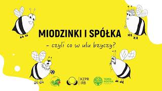 Miodzinki i Spółka  Czyli co w ulu bzyczy [upl. by Oiratnom]