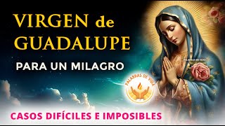 ORACION a la VIRGEN DE GUADALUPE 🌹para casos difíciles e imposibles [upl. by Ade]