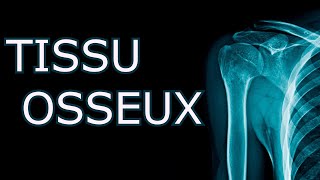 HISTOLOGIE  TISSU OSSEUX  COURS DÉTAILLÉ [upl. by Pinckney]