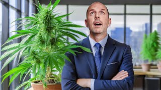 CannabisLegalisierung Bundestag sagt JA  doch neue Probleme drohen  Anwalt Christian Solmecke [upl. by Yneffit31]