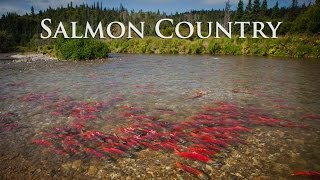 Alaska Salmon Country  Sockeye City [upl. by Karl]