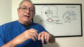 Ganglios basales y Sustancia negra Sindrome de neurona motora superior e inferior Integracion [upl. by Atsillac]