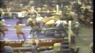 WCCW 1988 Von Erichs vs Freebirds Feud Recap [upl. by Terej956]