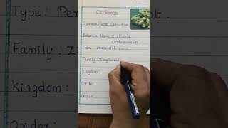 Cardamom Plant Botanical Facts and Specifications  Cardamom Interesting Scientific Details [upl. by Namqul779]