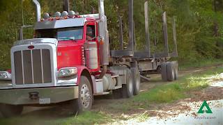 Weyerhaeuser Lumber Mill Tour in Magnolia Mississippi [upl. by Dicks473]