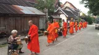 Alms Giving in Luang Prabang Laos  Daily Rice Collection by Buddhist Monks [upl. by Nahs686]