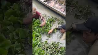 Dua orang nangkap ikan besar2 subscribe ocit shere lucu [upl. by Wilen759]