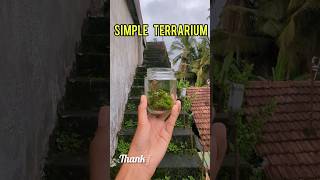 Making a simple terrarium craft experiment [upl. by Lisab]