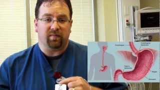 Esophageal Manometry Demonstration [upl. by Frasier]