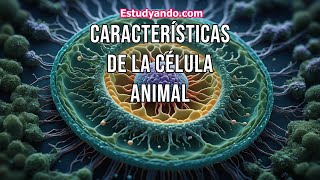 Características de la Célula Animal [upl. by Suehtomit623]