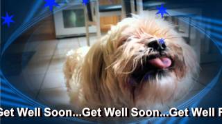 Get Well Soon Doggy E Greeting Card [upl. by Ardnua479]