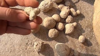 Trovants las rocas que crecen en Rumanía [upl. by Tekcirk]