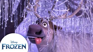 Svens Silliest Moments  Frozen [upl. by Hoseia]