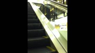 Otis escalators at macys oxford valley mall langhorne pa [upl. by Fishbein560]