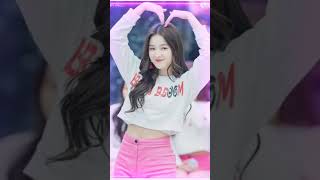 Nancy Momoland 🥰💐 song lyrics music song 👌😘😍 [upl. by Jesselyn396]