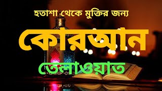 সূরা আশ শুআরা কোরআন তেলাওয়াত বাংলা অনুবাদ সহ  Surah ashShuara Al Quran with bangla torjoma [upl. by Yecaw]