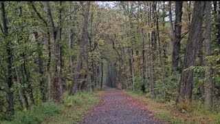 Rail Trail 👣 New Section [upl. by Dianne]