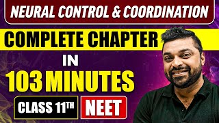 NEURAL CONTROL AND COORDINATION in 103 Minutes  Full Chapter Revision  Class 11th NEET [upl. by Barrada]