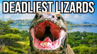 Ranking 5 Of The Deadliest Lizards In The World From Least Deadly To Deadliest [upl. by Yelnet]