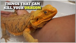 These 5 Things Can Kill Your Bearded Dragon Tips On How To Avoid Them [upl. by Dorice146]