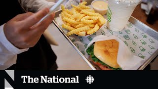 Shake Shack expands to Canada with a pricier burger than competitors [upl. by Ydniw614]