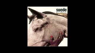 Suede  The Wild Ones Audio Only [upl. by Wilfreda]