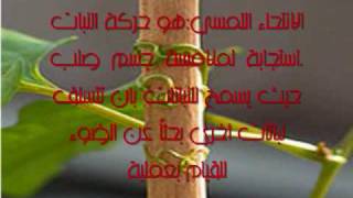 الإنتحاء لدى النبات [upl. by Tallou]