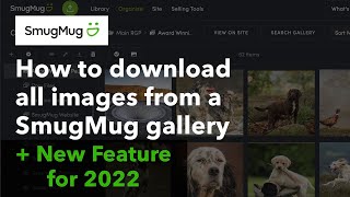 How to download all the images from a SmugMug Gallery [upl. by Coopersmith63]