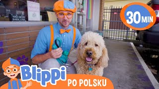 Opieka nad zwierzętami  🧡 BLIPPI 🧡 Bajki dla dzieci po polsku [upl. by Dominica]