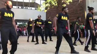 Alpha Phi Alpha Fraternity Inc  Epsilon Xi chapter 55th Anniversary  Yardshow 2017 [upl. by Aicenaj]