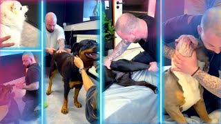 Dog Chiropractic and Osteopath Treatment Bone Cracking [upl. by Ennairam]