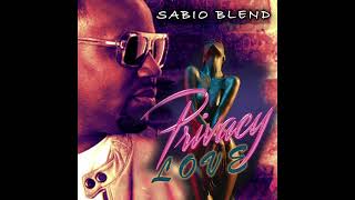 Chris Brown Avant  Privacy Love SABIO BLEND [upl. by Benita302]