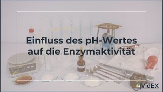 Der Einfluss des pHWertes auf die Enzymaktivität [upl. by Yanahc]