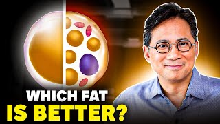 How Brown FAT Improves Your Metabolism  Dr William Li [upl. by Blayne]