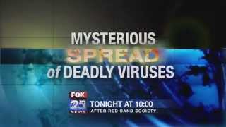 Deadly viruses How do they spread around the world [upl. by Narhem]