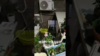 치아를 씌우개 빠졌다 ㅠㅠ 라인치실 사용 하다가 이가 시리고 아프다 몇일전에 칼에 손가락을 다쳤는데 또 어제 칼에 비어서 피가 무지 많이 흘러나왔다 ㅠㅠ 쓰리고 애리다 [upl. by Haletky]