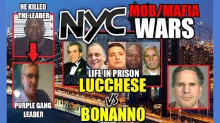 Mafia War  Lucchese vs Bonanno  The Death Of Michael Meldish [upl. by Oriaj711]