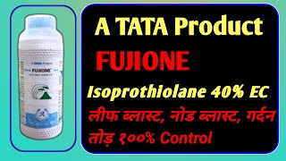 A TATA Product Fujione।Isoprothiolane 40�। गर्दन तोड़Leaf BlastNode Blast Technical Agriculture [upl. by Jenkel]